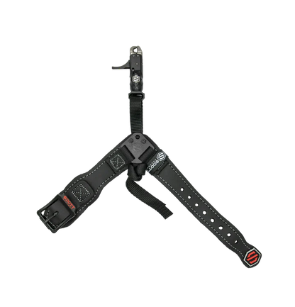 Scott Echo Release