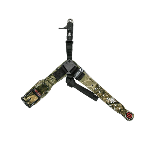 Scott Echo Release